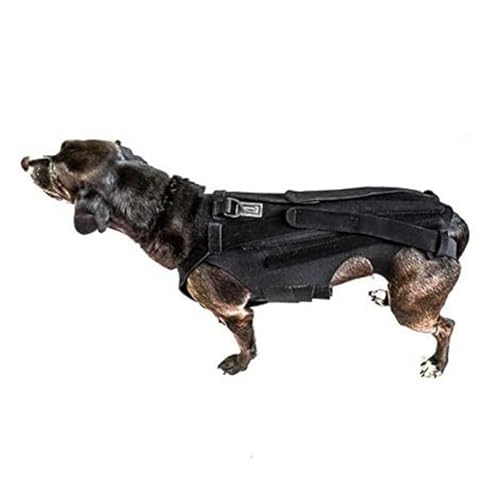 Asixxsix Hunde-Rückenbandage für Arthritis bei Hunden, Haustier-Rückenbandage für IVDD, Rückenschutz Hilft bei Schmerzlinderung, Chirurgischer Genesung und Rehabilitation (L) von Asixxsix