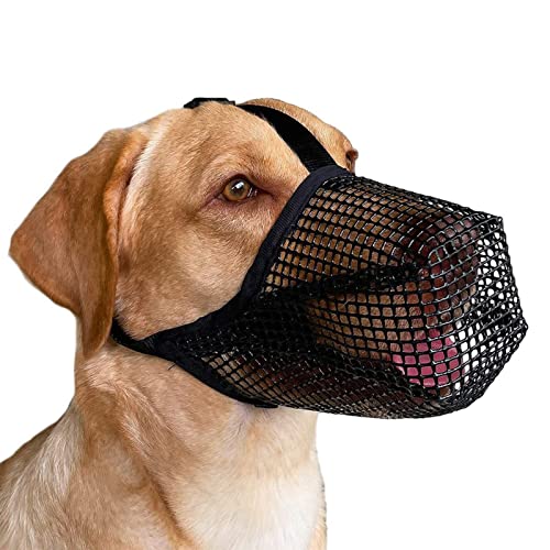 Asixxsix Maulkorb für Hunde, Weiches Nylon, Anti-Beißen, Bellen, Kauen, Mesh-Maulkorb, Atmungsaktiv, Verstellbarer Mundschutz für Haustiere, Maulkorb für Kleine, Mittelgroße Hunde (M) von Asixxsix