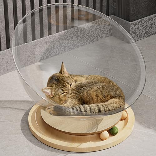 Raumkapsel-Katzenbett, Transparentes Acryl-Katzenhaus mit Holzdrehscheibe, Erhöhtes Katzenbett, Acryl-Nest-Kapselbett für Kleine Haustiere, Katzenhängemattenbett von Asixxsix