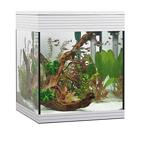 Askoll Aa350046 Aquarium Pure LED, M, Weiß von Askoll