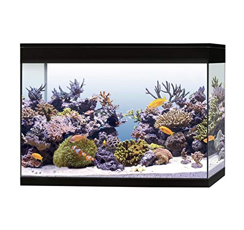 Askoll Aa350078 Aquarium Pure Marine High Cube Marino Komplettset, XXL, schwarz von Askoll