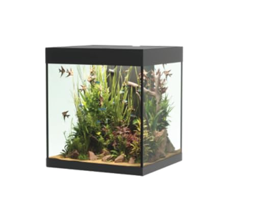 Opera Aquarium 80 Black von Askoll