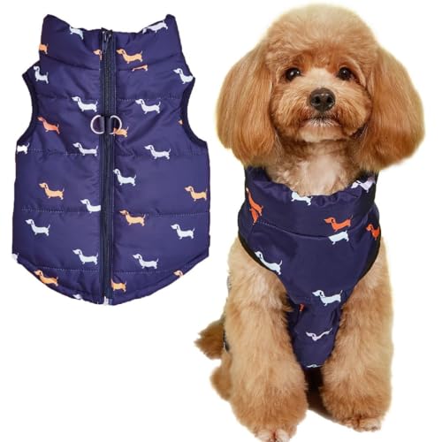 Asmea Hundemantel Winter Hundejacke Warme Hundemantel für Kleine Mittelgroße Grosse Hunde Winddichte Hundekleidung Hundeweste mit Geschirr Loch Hundejacke für Winter kaltes Wetter Blau L von Asmea