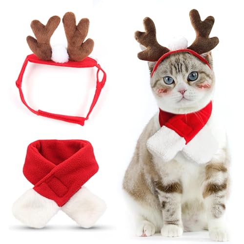 Katzen Weihnachtskostüm Katzenbekleidung Katze Weihnachten Geweih Mütze Weihnachtsmann-Schal Hunde Weihnachtskostüm Katzenkostüm Weihnachten Kostüm für Katzen Hund L von Asmea