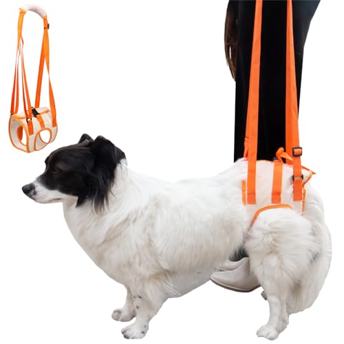 Dog Lift Harness Dog Sling for Medium Large Dogs Dog Backend Support Hind Leg Support for Old, Arthritic ACL Recovery, Hind Leg Disabled Dog (M) von Asou