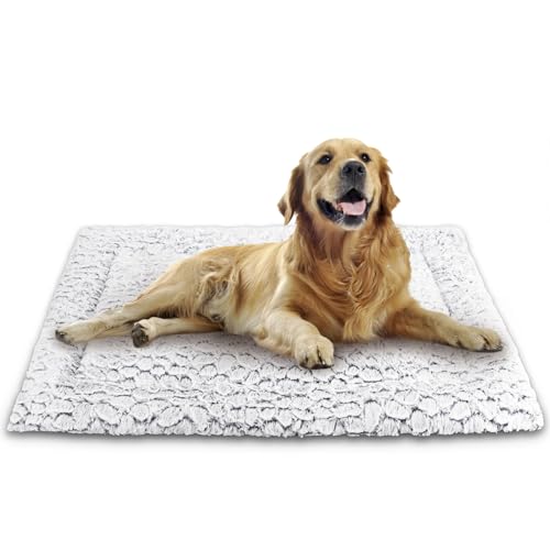 Aspand Orthopädisches Hundebett für Große und Mittelgroße Hunde,63x48cm,Tragbares Hundebetten für Camping,Autoreisen,Gunkelgrau von Aspand