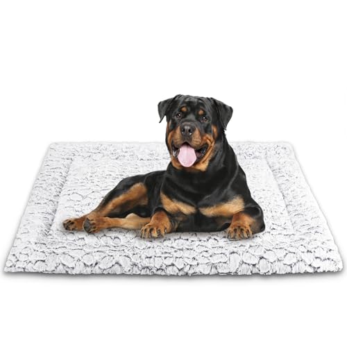 Aspand Orthopädisches Hundebett für Große und Mittelgroße Hunde,78x50cm,Tragbares Hundebetten für Camping,Autoreisen,Gunkelgrau von Aspand