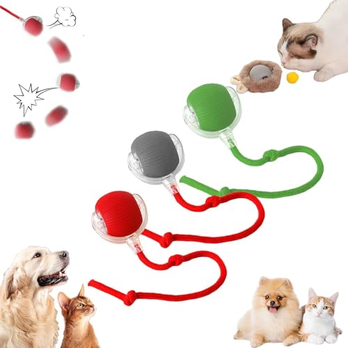 Interaktives Katzenball Spielzeug - Katzenspielzeug Elektrisch mit USB Aufladbar, DREI Arbeitsmodi, 360° Rolling Smart Ball für Katzen und Hunde (3 PCS) von Asslye