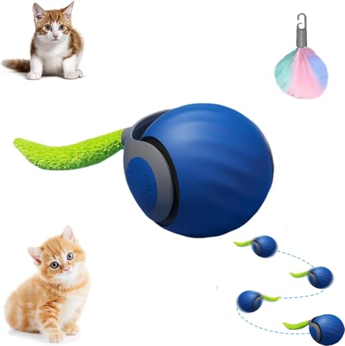 Interaktives Katzenball Spielzeug - Katzenspielzeug Elektrisch mit USB Aufladbar, DREI Arbeitsmodi, 360° Rolling Smart Ball für Katzen und Hunde (mit Ersatzseil) (Blau) von Asslye