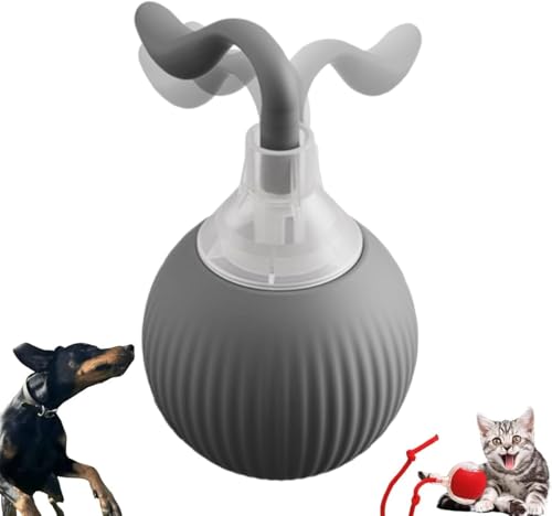 Interaktives Katzenspielzeug Katzenball - Smart Elektrisch Katzenball, DREI Arbeitsmodi, 360° Rolling, USB Aufladbar, Katzenspielzeug Ball für Katzen Hunde (Grau) von Asslye