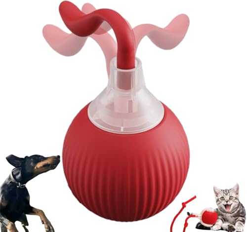 Interaktives Katzenspielzeug Katzenball - Smart Elektrisch Katzenball, DREI Arbeitsmodi, 360° Rolling, USB Aufladbar, Katzenspielzeug Ball für Katzen Hunde (Rot) von Asslye