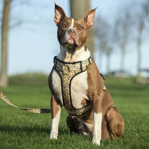 ASTORPET | Airmesh Hundegeschirr, verstellbar, für große, mittlere und kleine Hunde, mit Sicherheitsverschluss, Hundegeschirr für Spaziergänge und Training, Modell Leo - L. von Astorpet