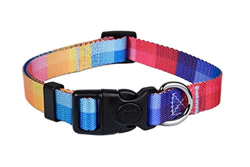 ASTORPET Hundehalsband, verstellbar, weich und langlebig, Schnalle mit Sicherheitsverschluss, Welpe oder Hund extra klein, Größe XS von Astorpet