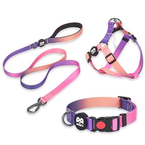 ASTORPET | Set: Hundehalsband, Step-In Hundegeschirr und Hundeleine, verstellbar, leicht, bequem und sicher. Hundezubehör. Ideal für kleine, mittelgroße und große Hunde, bis zu 40 kg. Sunrise - L. von Astorpet