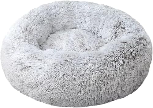 Astorpet | Hunde- und Katzenbett Donut Cush Bett Große mittlere und kleine Haustiere Bequem und bequem, waschbar (Hellgrau, XS) von Astorpet