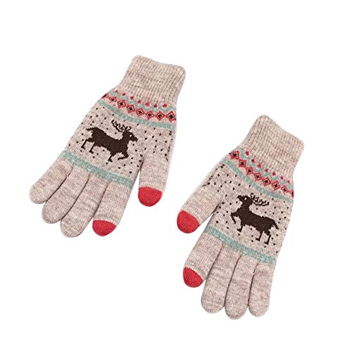 Asudaro Touchscreen Handschuhe Damen Frauen Winter Warm Handschuhe Fahrradschuhe Fäustlinge mit Fleecefutter Outdoor-Handschuhe für Fahrrad, Laufen, Skifahren, Fahren, Trekking Dunkelgrau von Asudaro