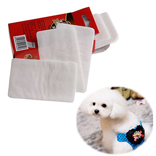 Asukohu Puppy Super Absorbent Pet Dog Training Pad Trainingsmatte Selbstklebende Windelmatte für Hundetraining von Asukohu