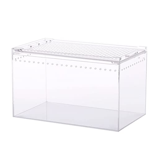 Futterbox, Schlangenzuchtbox, Eidechsenkäfig, Lebensraum, Schlüpfbehälter, transparent, tragbar, für Substrate für Aquarium-Dekorationen von Asukohu