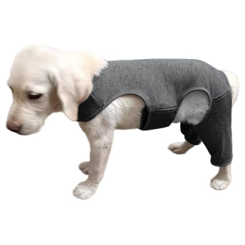 Haustier-Leggings mit Ärmeln bietet Wärme, geeignet für verletzte, ältere Hunde, für tägliche Spaziergänge und Outdoor-Aktivitäten, tierhaarbeständige Leggings für Damen Haustier-Leggings mit Ärmeln bietet Wärme, geeignet für verletzte, ältere Hunde, für tägliche Spaziergänge und Outdoor-Aktivitäten, tierhaarbeständige Leggings für Damen von Asukohu
