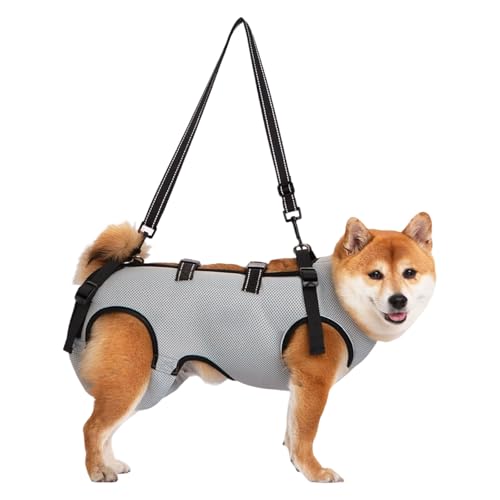 Hebebänder für Hunde mit ergonomischer T-Form und weicher Polsterung für Gelenkverletzungen, Genesung von Hunden, große ältere Rassen, Tragetücher Hebebänder für Hunde mit ergonomischer T-Form und weicher Polsterung für Gelenkverletzungen, Genesung von Hunden, große ältere Rassen, Tragetücher von Asukohu