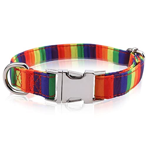 Asvin Hundehalsband, Regenbogen Haustierhalsband, verstellbares Personalisiert Hunde Halsband, für Hunde Kleine Mittel große Hunde (M(27CM~40CM), Regenbogen) von Asvin