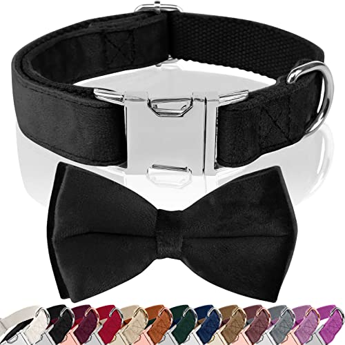 Asvin Hundehalsband Samtige, mit Abnehmbarer Hunde Fliege, Weich und Bequem Hunde Halsband, Mehrfarbig Samtige Hundehalsband, für Hochzeiten, Geburtstage, Partys usw von Asvin