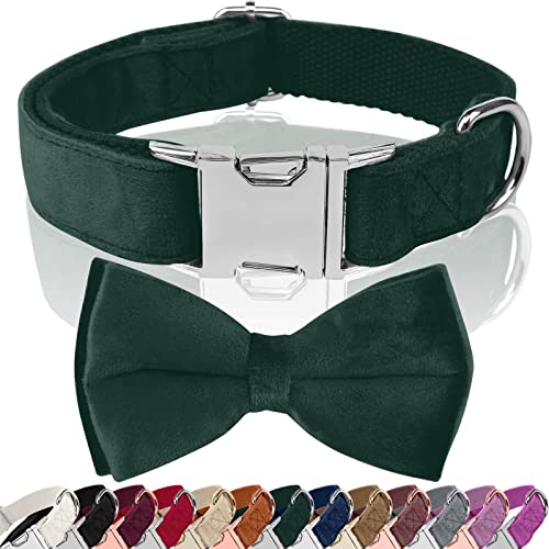 Asvin Hundehalsband Samtige, mit Abnehmbarer Hunde Fliege, Weich und Bequem Hunde Halsband, Mehrfarbig Samtige Hundehalsband, für Hochzeiten, Geburtstage, Partys usw von Asvin