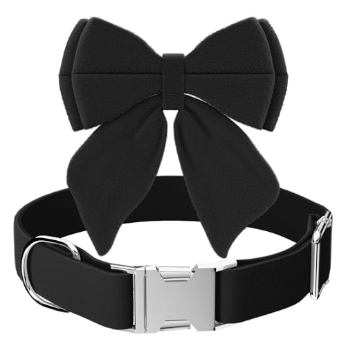 Asvin Hundehalsband von Asvin