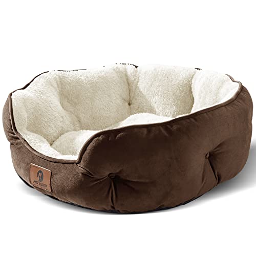Asvin Kleines Hundebett für kleine Hunde, Katzenbetten für Indoor Katzen, Haustierbett für Welpen und Kätzchen, braun, 50.8 cm Asvin Kleines Hundebett für kleine Hunde, Katzenbetten für Indoor Katzen, Haustierbett für Welpen und Kätzchen, braun, 50.8 cm von Asvin
