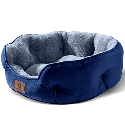 Asvin Mittelgroßes Hundebett für mittelgroße Hunde, große Katzenbetten für Hauskatzen, Haustierbett für Welpen und Kätzchen, extra weich und maschinenwaschbar, mit Rutschfester und wasserabweisender Asvin Mittelgroßes Hundebett für mittelgroße Hunde, große Katzenbetten für Hauskatzen, Haustierbett für Welpen und Kätzchen, extra weich und maschinenwaschbar, mit Rutschfester und wasserabweisender von Asvin