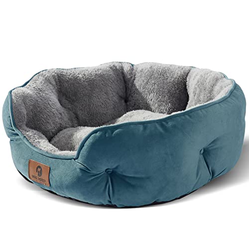 Asvin Mittlere Hundebett für mittelgroße Hunde, große Katzenbetten für Indoor-Katzen, Haustierbett für Welpen und Kätzchen, blaugrün, 63.5 cm von Asvin