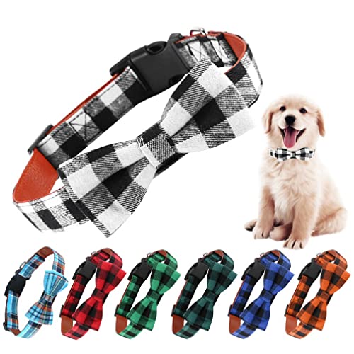 Halsband Hund-Halsband kleine Hunde,Anti zieh Halsband Hund für Welpen kleine mittelgroße Hunde,Einstellbare und personalisierte Hundehalsbandbreit (Schwarz und weiß, L: 40-55 cm (1er Pack) von Asvin