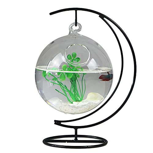 Atroy Glas-Fischbecken zum Aufhängen, für den Schreibtisch, kleines Betta-Fischglas, Mini-Aquarium mit Ständer, für Zuhause, Büro, Garten von Atroy