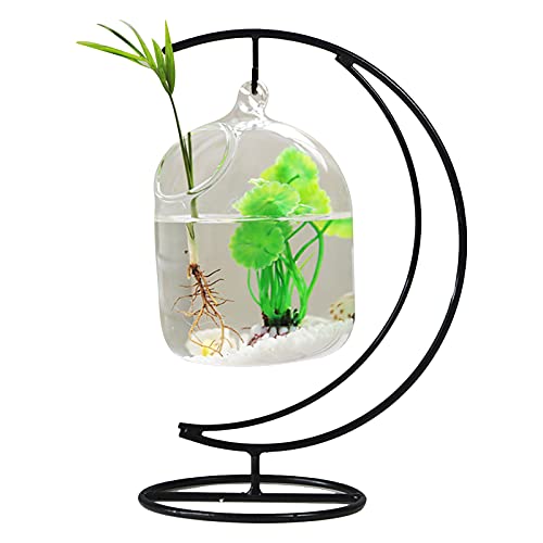 Atroy Glas-Fischbecken zum Aufhängen, für den Schreibtisch, kleines Betta-Fischglas, Mini-Aquarium mit Ständer, für Zuhause, Büro, Garten von Atroy