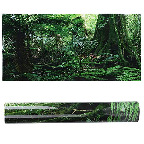 Atyhao Aquarium Poster, Rainforest Style Hintergrund Poster Dekorative Aquarium Terrarium Hintergrund Poster Verdicken PVC Adhesive Static Cling Wallpaper Sticker[122x46cm] Hintergründe von Atyhao