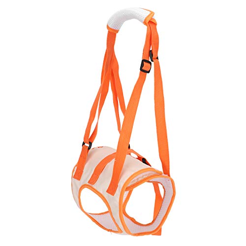 Atyhao Hunde Hilfe Geschirr, Hund Hunde hinterbein Hock Joint Wrap Band Mesh Pet Dog Lift Harness Hinterbeinstützgurt Hebehilfe für Behinderte Verletzungen Älterer[S] Halfter von Atyhao