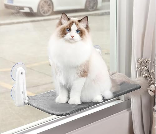 Auauraintt Fensterliege für Katzen, 60x30cm Katzenbett Fenster,Katzen Fensterliege klappbar,schnurlose Katzenliege,mit Wendematte,mit Stabil Saugnäpfe bis 23 kg belastbar L (Grey, L) von Auauraintt