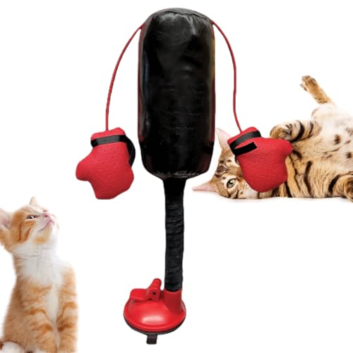 Interaktives Katzenspielzeug mit Boxsack, Boxsandsack mit Handschuhen Kätzchenspielzeug, Spielzeug zur Linderung von Langeweile Bei Katzen, für Geistige Stimulation und Aktive Katzen im Innenbereich von Aufquwk