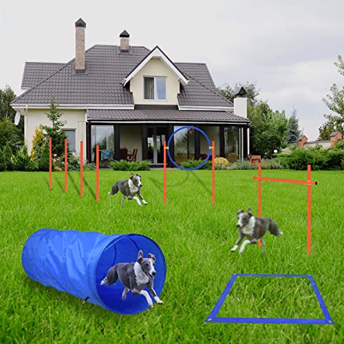 AufuN Agility Ausrüstungs Set für Hunde, Training Hindernisse mit Hundetunnel,Geflochtene Stangen, Springring, Hürdenstange, Verstellbare Höhe, Konische Fässer inkl. Tragetasche (Blu+ Orange) von AufuN