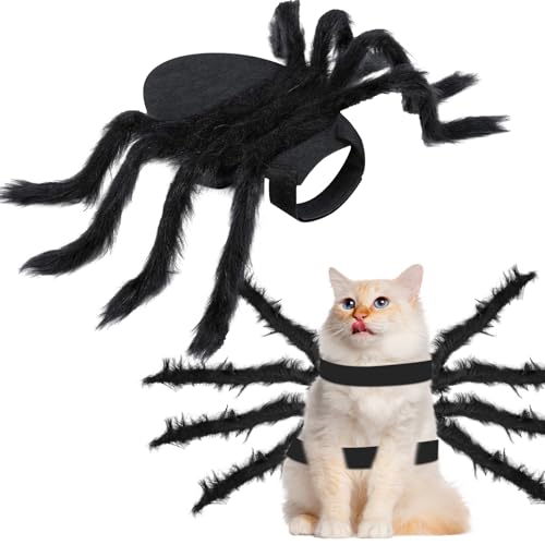 Einstellbar Schwarz Halloween Spinnenkostüm, Halloween Haustier Kostüm,Halloween-Haustier-Kostüm-Halloween Dekorationen, für Kleine Hunde und Katzen von Auirshiky