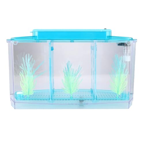 Aumotop Aquarium-LED-Acryl-Zucht-Isolationsbox für Kleine Fische mit Farblich Einstellbaren LEDs und Kunstrasen [Mini-Aquarium] (Blau) von Aumotop