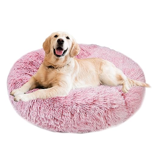 Aurako Katzenbett, Hundebett, rundes Kissen, Haustierbett, Matte, ultraweiches Plüsch, Donut-Sofa, bequemes Kissen, maschinenwaschbar, Haustier-Kuschelbetten für Kätzchen, kleine, mittelgroße und von Aurako