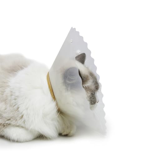 Wasserdichtes Katzenhalsband, praktisches verstellbares Kegelhalsband, entworfen, um die Heilung nach dem Kegel zu unterstützen, für Hunde nach dem Kegelhalsband, klares Kegelhalsband für Katzenkegel von Aurgiarme