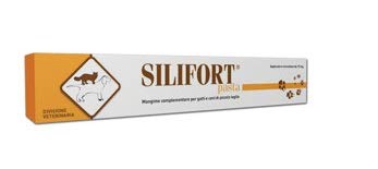 Aurora Biofarma Silifort Pasta 30 g von Aurora Biofarma