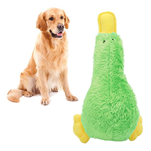 Ausla Quietschendes Plüsch-Hundespielzeug, Interaktiver Spaß, Süßer Vogel, Weiche Bissfestigkeit, Plüschhunde, Kauspielzeug für Hunde, Welpen, Haustiere (GREEN) von Ausla