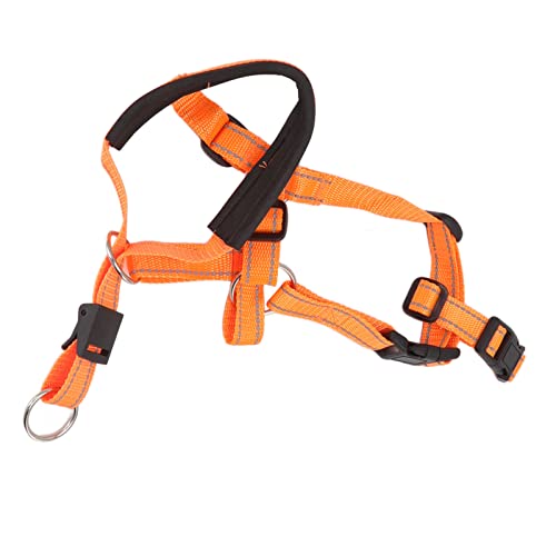 Hundehalsband, Atmungsaktives Hundehalsband mit Verstellbarem Riemen für den Außenbereich, Anti-Beiß-Kopfhalsband (ORANGE) von Ausla