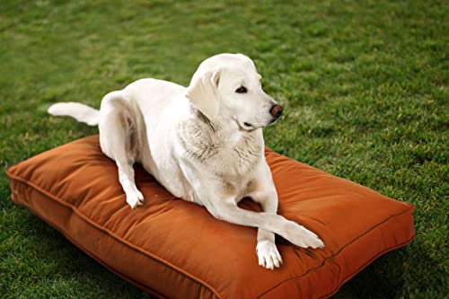 Sunbrella Indoor/Outdoor Doppelseitiges Hundebett für kleine & mittelgroße Hunde mit waschbarem Bezug (Cayenne) von Sherry Kline