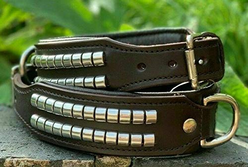 Hundehalsband, Leder, Spike-Halsband für Hunde, gepolstert, Western-Hundehalsband, Breite 4,6 cm (Halsumfang 43,2 cm bis 50,1 cm) von Autumnn Equestrian