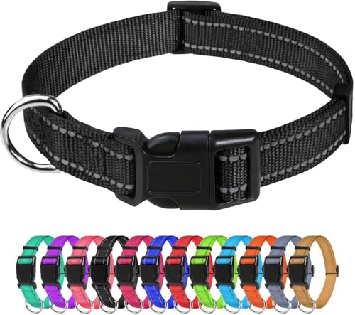 Hundehalsband, reflektierend, Nylon, verstellbar, mit Schnellverschluss-Schnalle für kleine, mittelgroße und große Hunde (Blau, L) von Autumnn Equestrian