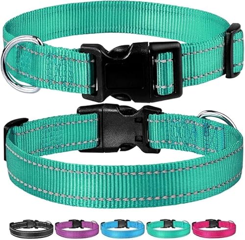 Hundehalsband, reflektierend, Nylon, verstellbar, mit Schnellverschluss-Schnalle für kleine, mittelgroße und große Hunde (Turkis, M) von Autumnn Equestrian